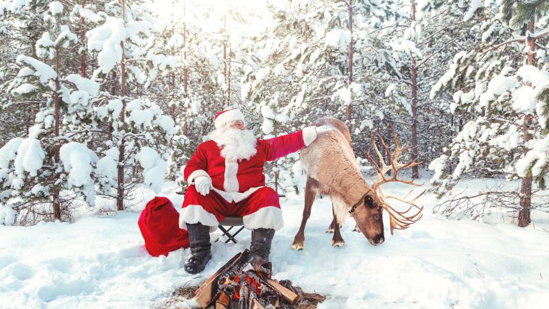 Santa and reindeer